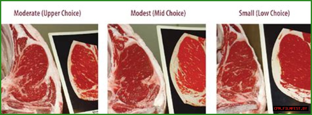 Beef Grades and Carcass Information