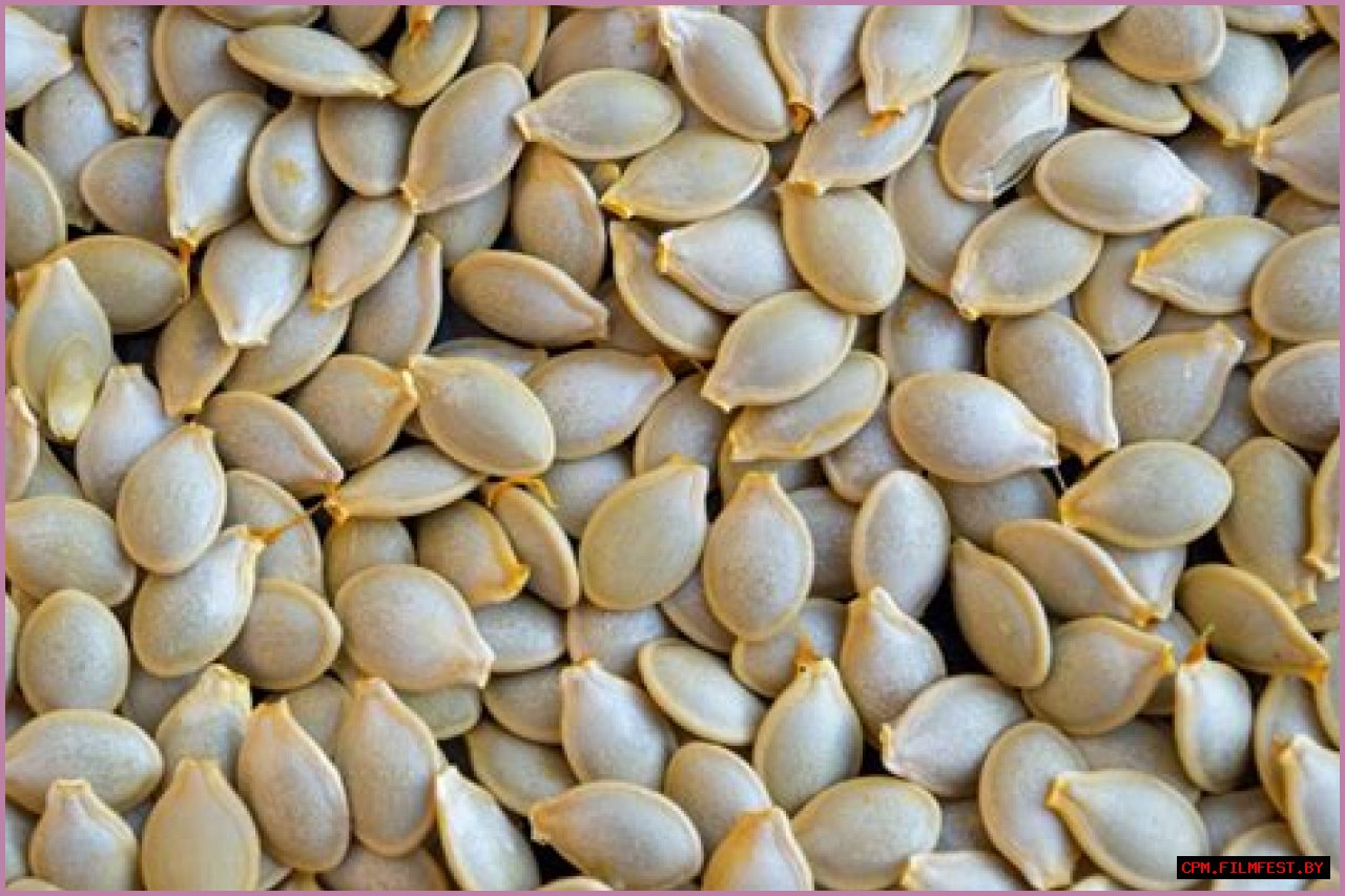 Can you eat large zucchini seeds?