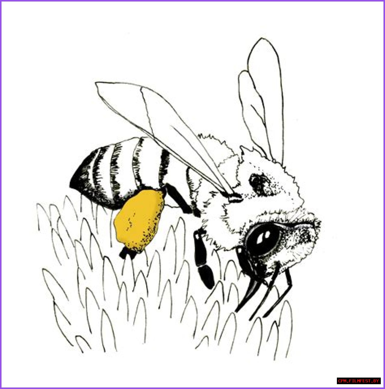 Protecting Pollination by Honey Bees in Mississippi