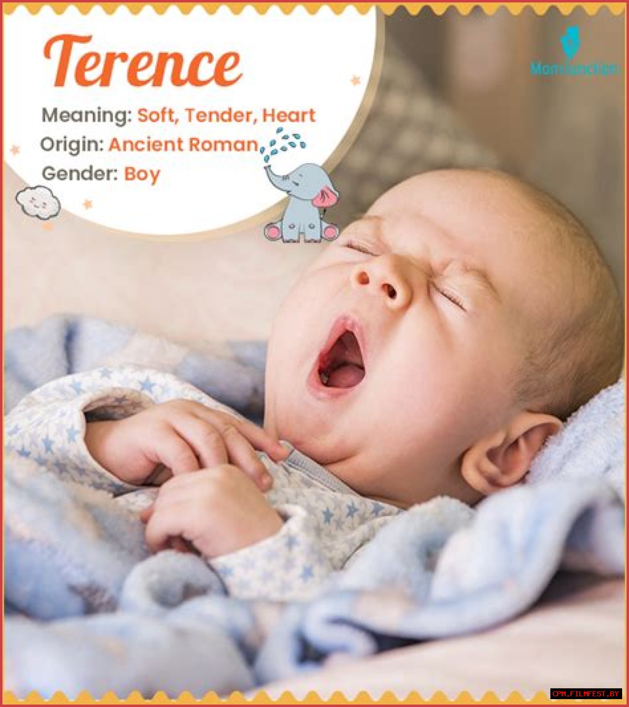 What does Terence mean?